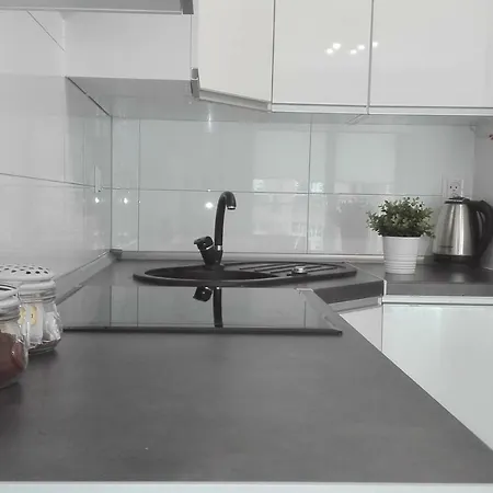 Good Time Centrum Strzelecka A Apartment Posen